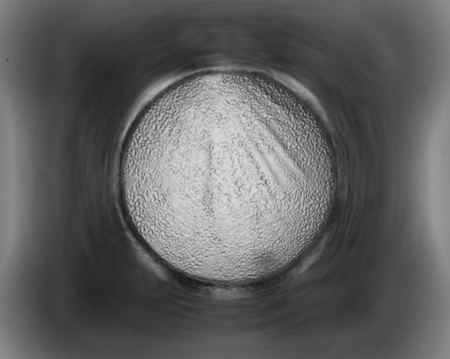 X0000086231231200704191752