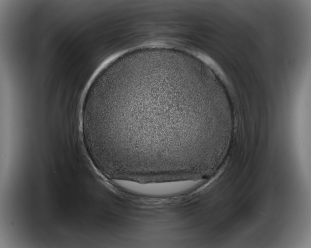 X0000086231232200704191752