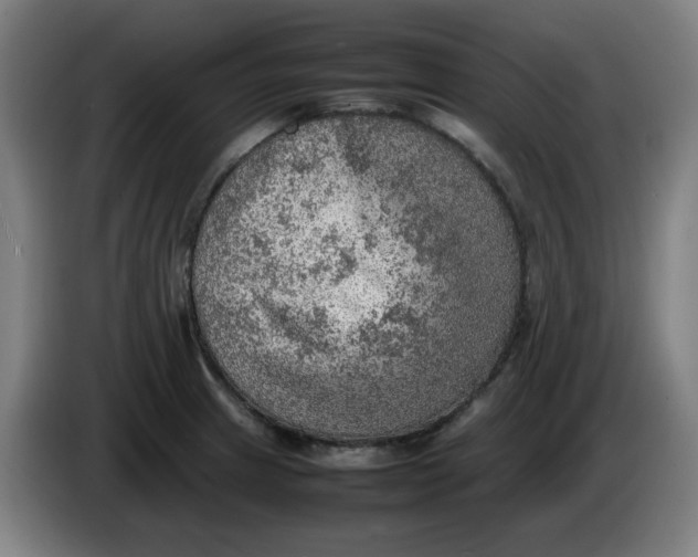 X0000086231233200704191752