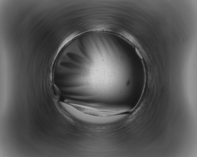 X0000086231234200704191752