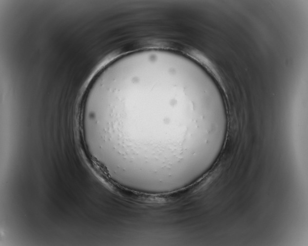 X0000086231235200704191753