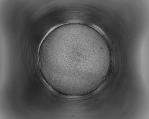 X0000086231236200704191753