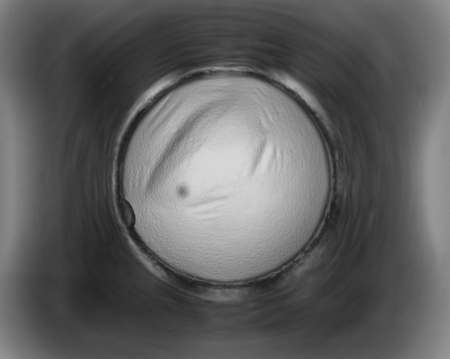 X0000086231237200704191753