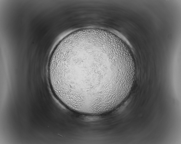 X0000086231239200704191753