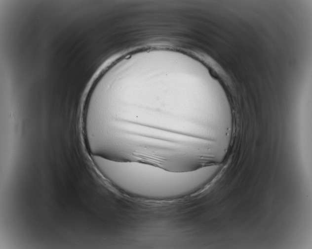 X0000086231240200704191753