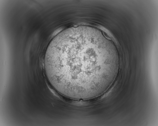 X0000086231241200704191753