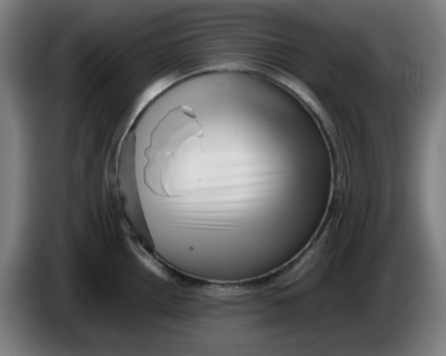 X0000086231242200704191753