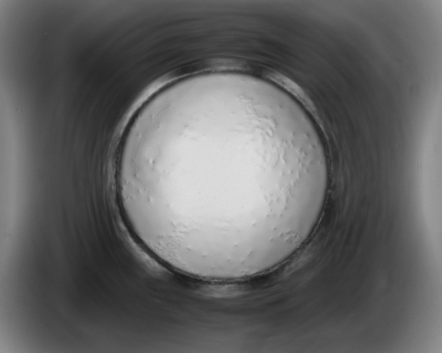 X0000086231243200704191753