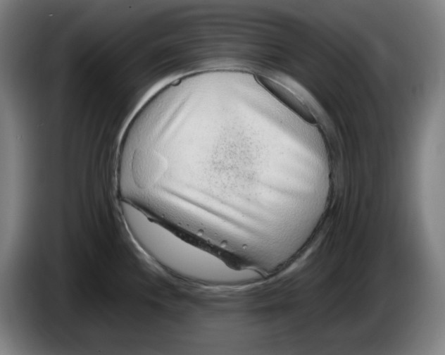 X0000086231244200704191753