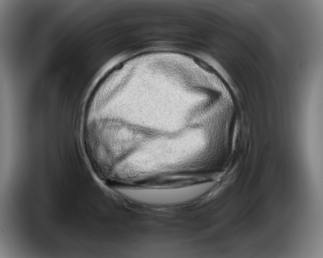 X0000086231245200704191753