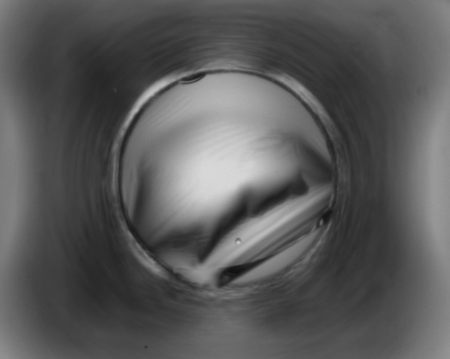 X0000086231246200704191753