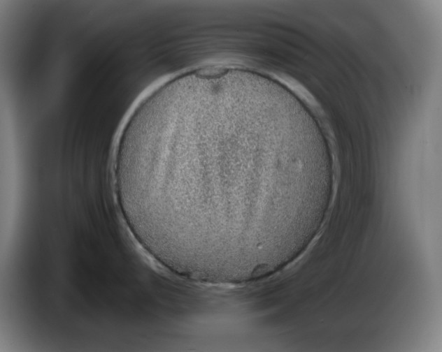 X0000086231248200704191753