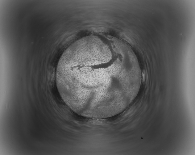 X0000086231251200704191752