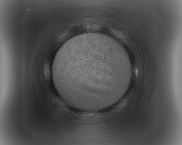 X0000086231252200704191752