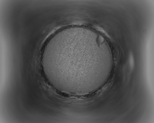 X0000086231256200704191752