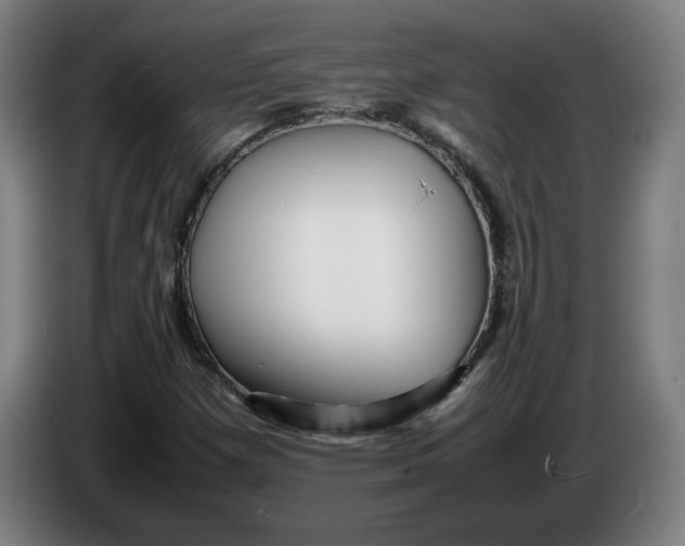 X0000086231257200704191752