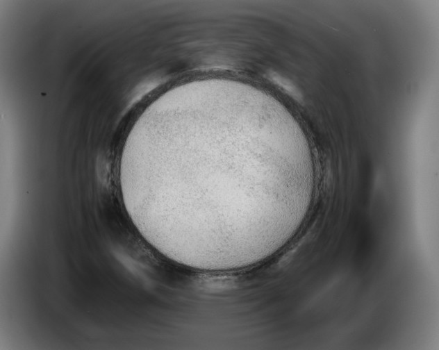 X0000086231258200704191752