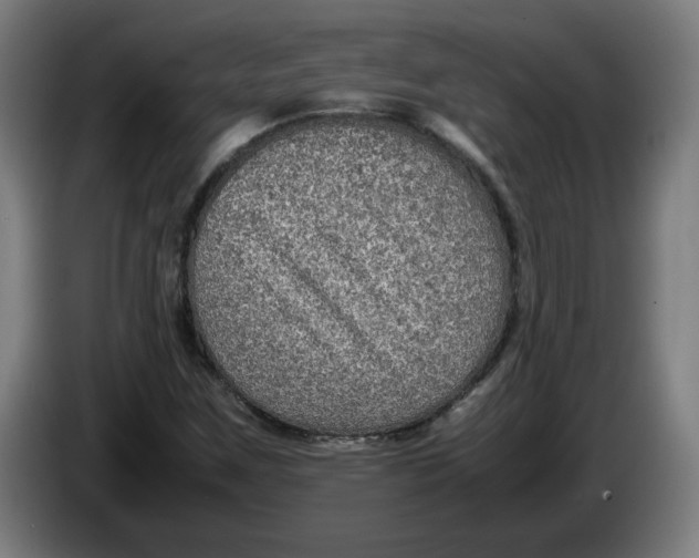 X0000086231259200704191752