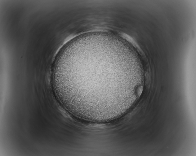 X0000086231260200704191752