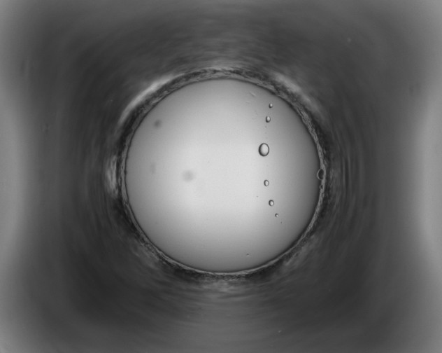 X0000086231262200704191752