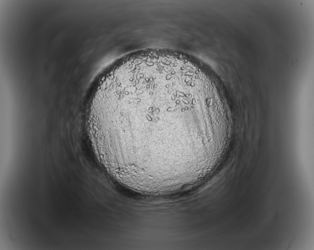 X0000086231263200704191752