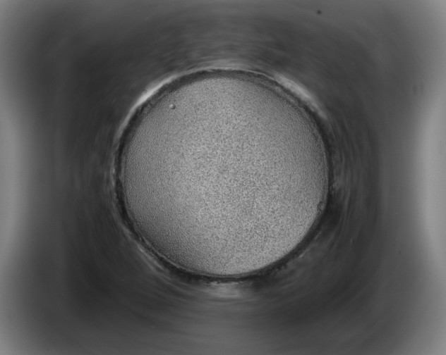 X0000086231264200704191752