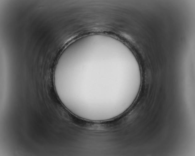 X0000086231265200704191752