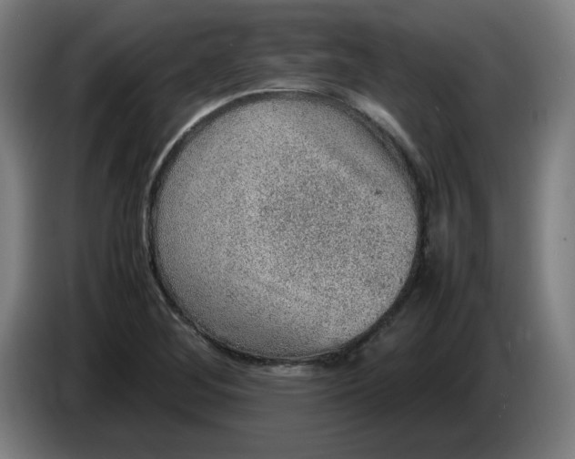 X0000086231268200704191752