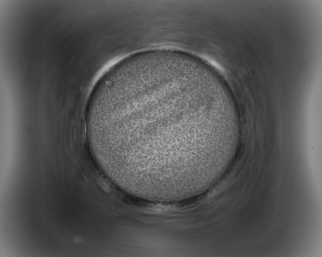 X0000086231271200704191752