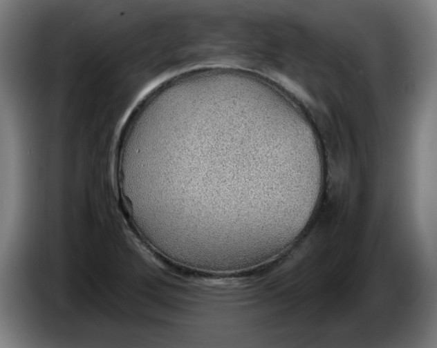 X0000086231272200704191752