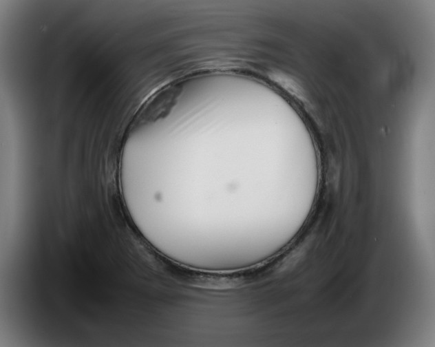 X0000086231273200704191752