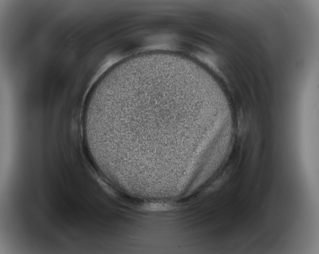 X0000086231274200704191752