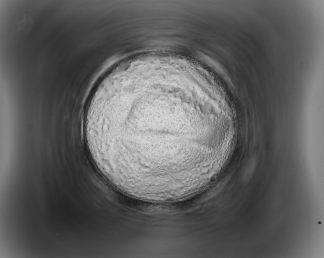 X0000086231275200704191752