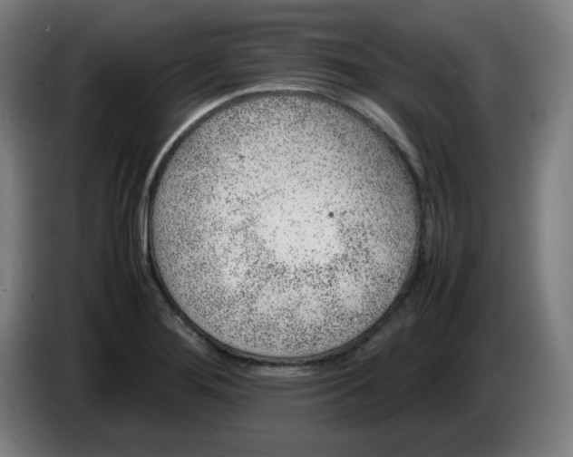 X0000086231276200704191752