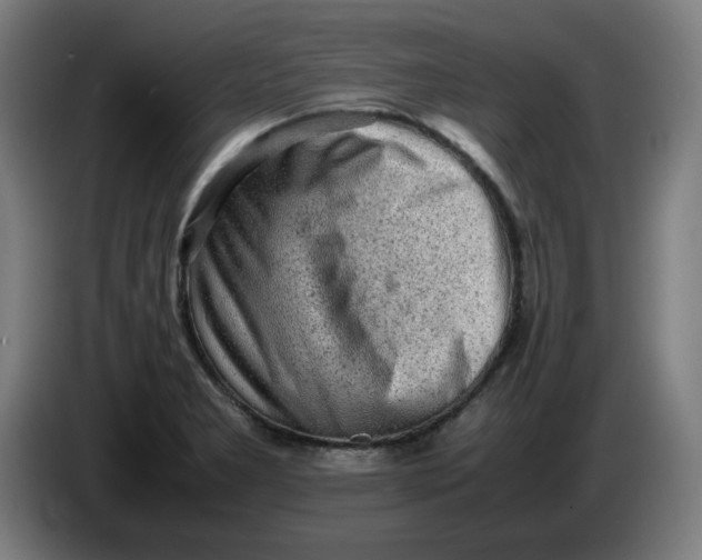 X0000086231277200704191752