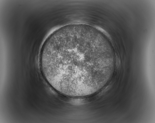 X0000086231278200704191752