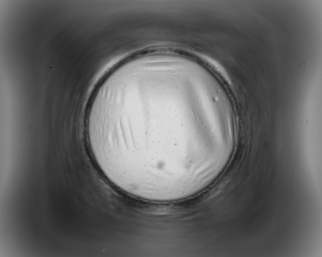 X0000086231279200704191752