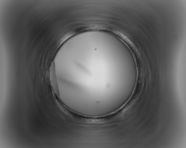 X0000086231281200704191752