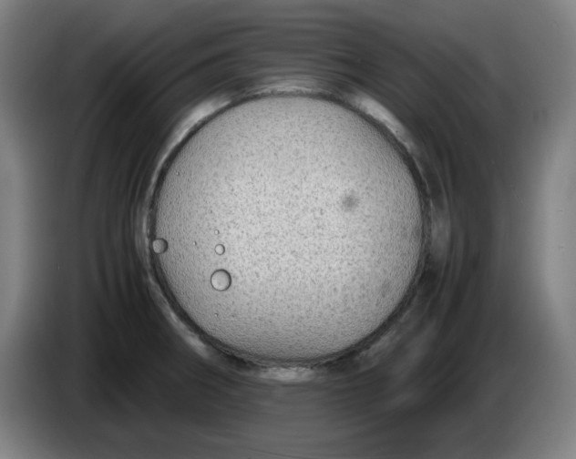 X0000086231282200704191752