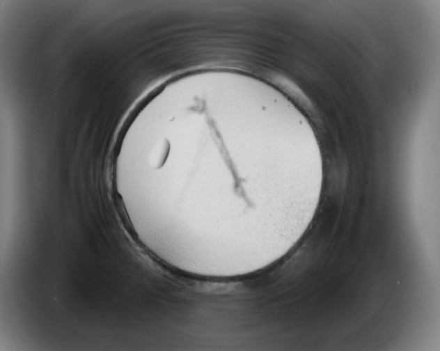 X0000086231284200704191752