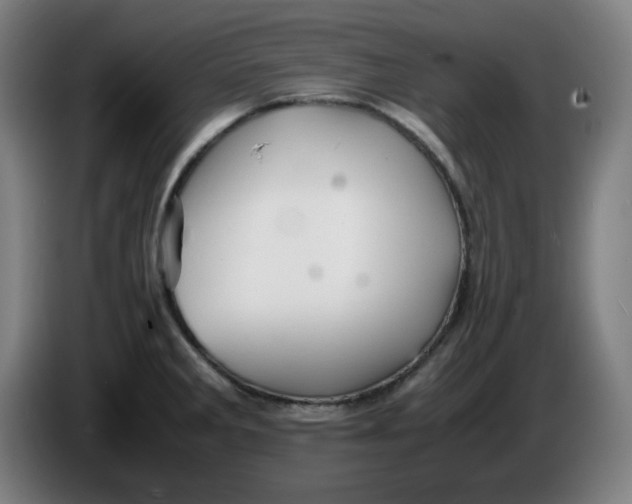 X0000086231285200704191752