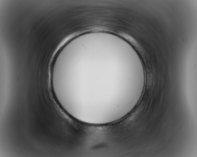 X0000086231286200704191752