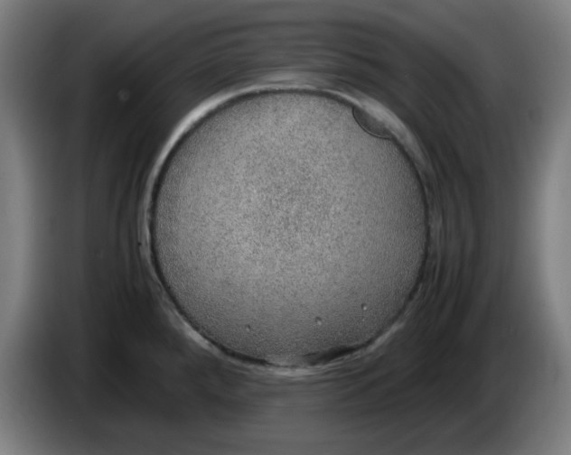 X0000086231288200704191751