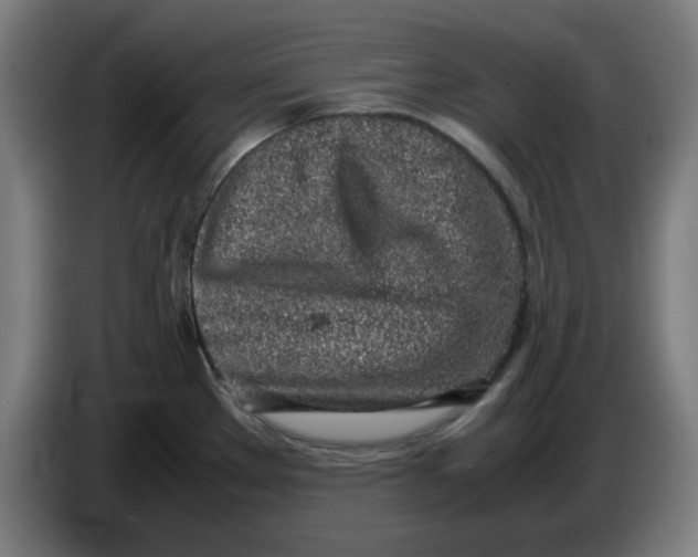 X0000086231289200704191751