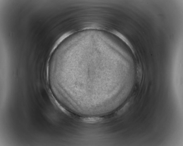 X0000086231290200704191751