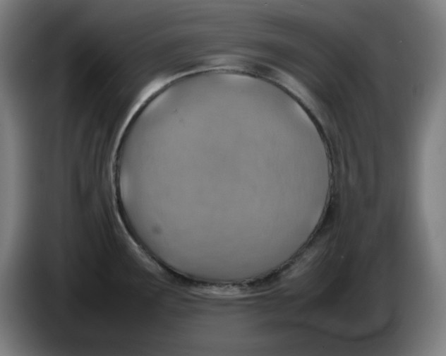 X0000086231291200704191751