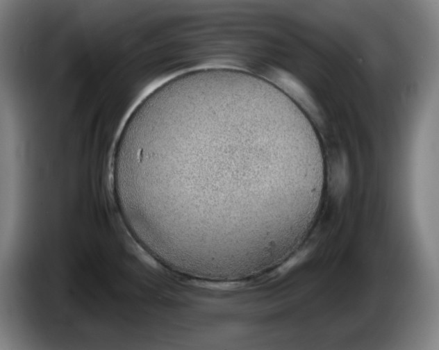 X0000086231292200704191751