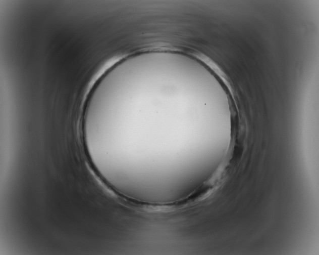 X0000086231293200704191751