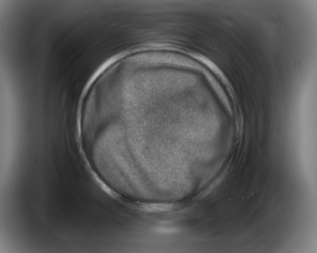 X0000086231294200704191751