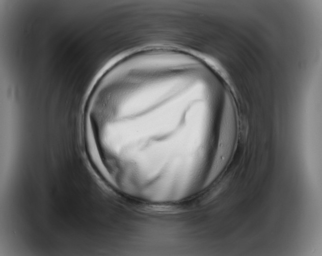 X0000086231295200704191751